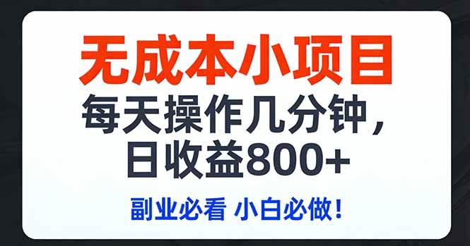 (2.27)无成本小项目,每天操作几分钟,日收益800+ 副业必看 小白必做！